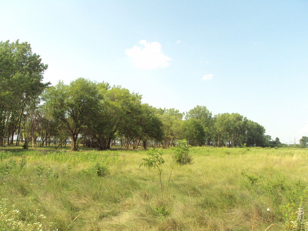 Types Of Investment Properties Raw Land Glassridge The Real Estate